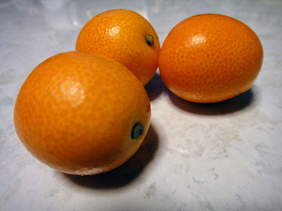 Kumquat_001.jpg