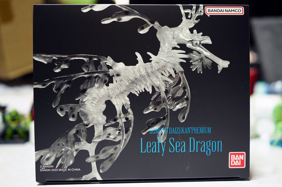 Leafy_Sea_Dragon_002.jpg